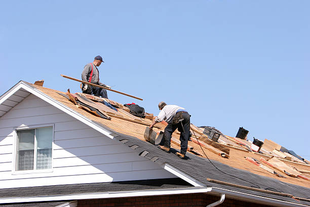 Best Roof Ventilation Installation  in Ross, CA